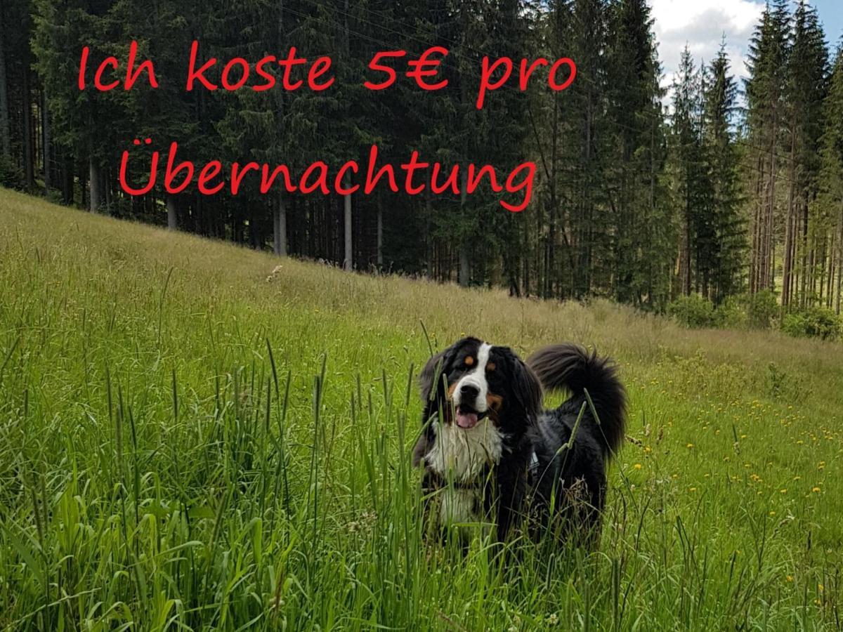 Ferienwohnung Borner Feldberg  Zewnętrze zdjęcie